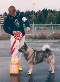 VILI JA SARI